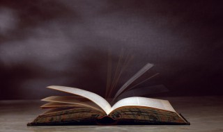 历史上真的有展昭这个人物吗（历史有没有展昭）