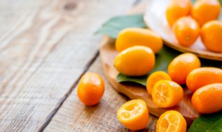 盆栽金桔多久浇一次水(金桔几天浇水一次)