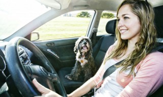 汽车前雨水刮怎样开才喷水（汽车后雨刮喷水怎样开）