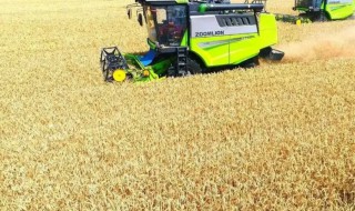 农作物秸秆如何利用（农作物秸秆的利用）