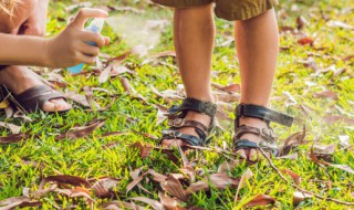 熏蚊子的草叫什么 熏蚊子的干草叫什么