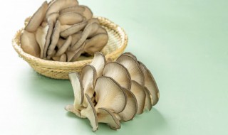 蘑菇怎么放保鲜（蘑菇怎样放保鲜）