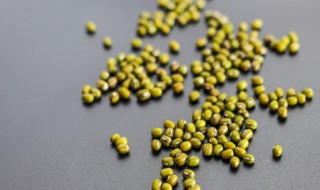 在家怎么发绿豆芽 在家怎么发绿豆芽菜