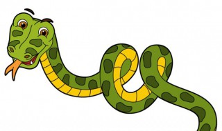 夏天家里有蛇怎么办 夏天怎样防止家里进蛇