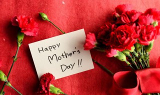 康乃馨怎么养护（新买的康乃馨怎么养护）