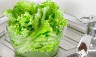 团生菜怎么做好吃（团生菜怎么做好吃又简单）