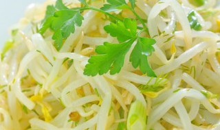 豆芽机怎么发豆芽 豆芽机怎么发豆芽,使豆芽比较粗壮