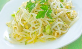 生豆芽怎么生（绿豆生豆芽怎么生）