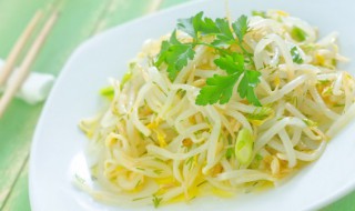 家庭豆芽怎么发（家庭如何发豆芽）