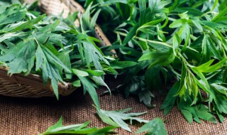 端午挂艾草怎么挂 端午挂艾草怎么挂法