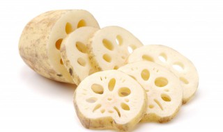 莲藕在家怎么水培（怎样栽培莲藕）