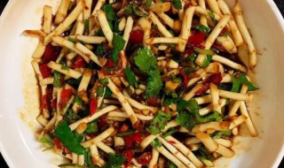 凉拌鱼腥草怎么做(凉拌鱼腥草怎么做入味)