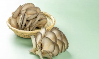 平菇怎么晒干保存（平菇干是如何晾晒）