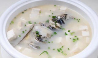 做鱼头豆腐汤选哪种鱼头好（鱼头豆腐汤买什么鱼头好）