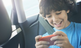 七雄争霸怎么把宠物转换元素 七雄争霸战宠怎么玩