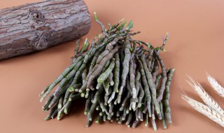 铁皮石斛多长时间浇水（铁皮石斛多久浇水）