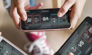 口袋妖怪什么宠物可以学闪光（口袋妖怪什么宠物可以学闪光术）