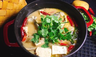 喜头鱼豆腐汤的做法 喜头鱼豆腐汤的做法视频