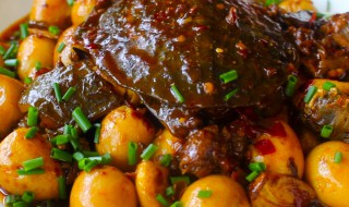 怎样做甲鱼炖鹌鹑蛋最好吃