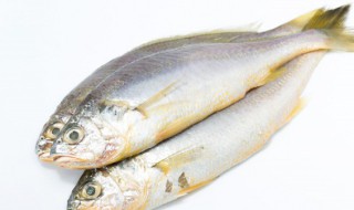 咸鱼煲汤怎么煲（咸水鱼煲怎么做好吃）