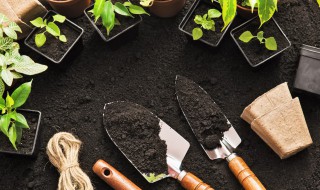 庭院栽植中根外追肥有哪些要求（庭院种花用什么肥）