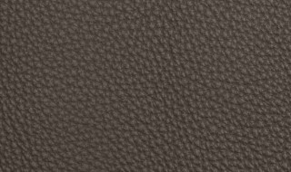 皮革发霉起斑处理小妙招 皮革家具发霉起斑怎么擦掉