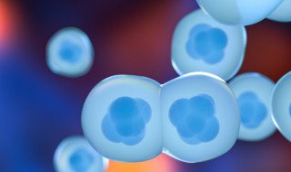 细胞为什么要自杀（为什么细胞会死亡）