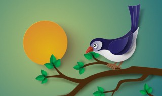 傍晚喜鹊叫有什么兆头 傍晚喜鹊叫代表什么