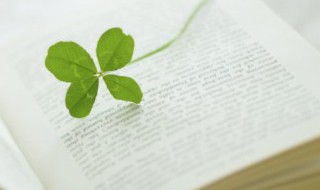 一加一笔变成什么字 二加一笔变成什么字