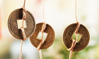 家里飞进臭虫有什么兆头（臭虫进家里 预兆）