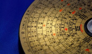 水把房子泡了有什么好兆头吗（房子让水泡了）