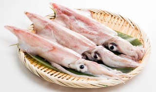 墨鱼什么季节吃最好 墨鱼仔什么季节最好吃