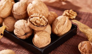 核桃什么季节吃最好（这个季节吃核桃好吗）