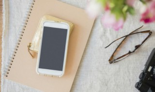 口袋妖怪怎么放生（口袋妖怪怎么放生精灵）