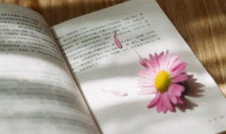 什么字加一笔变成什么字 什么字加一笔变成什么字最多