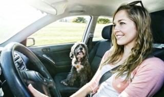 车蜡怎么打（车蜡怎么打法）