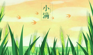 小满的寓意和象征（24节气小满的寓意和象征）