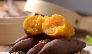 红薯种子种植方法 红薯种子怎么种植