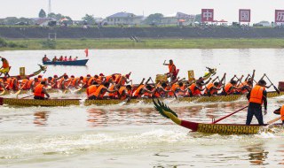 端午节可以干什么事情（端午节可以干哪些事情）