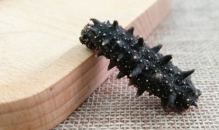 海参最简单做法 海参的家常做法