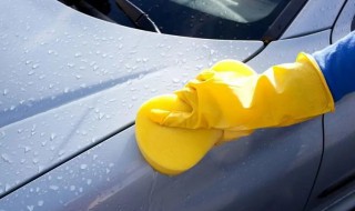 车蜡的作用（车蜡的作用及如何选择车蜡）