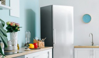 冰箱不制冷小妙招（冰箱不制冷小妙招压缩机不运转）