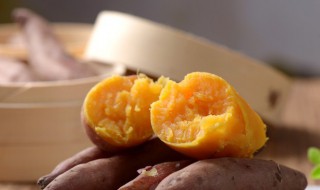 番薯是什么时候传入中国的（番薯是从哪里传入中国）