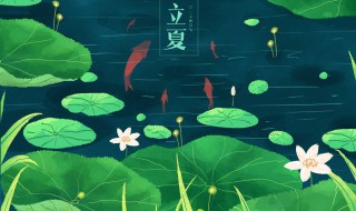 立夏是2022的几月几日 立夏是2022的几月几日几点