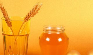 蜂王浆什么季节吃最好 蜂王浆适合什么时间吃好?