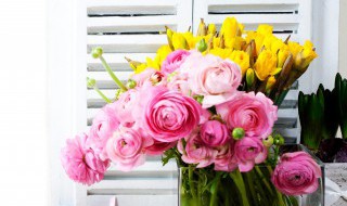 牡丹花什么时候开花的大概几点 牡丹花什么时候开花的大概几点到几点