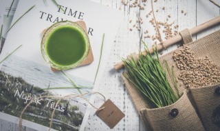 干旱地区适合种植哪些种植物 干旱区适合什么植物生长