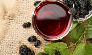 桑葚可以冷冻保存吗 桑葚冷冻保存好吗