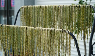 豇豆如何晒干保存（豇豆怎么晒干保存）