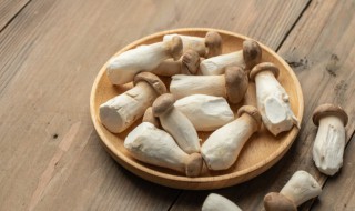 凉拌杏鲍菇怎么做好吃（凉拌杏鲍菇怎么做好吃简单做法视频）